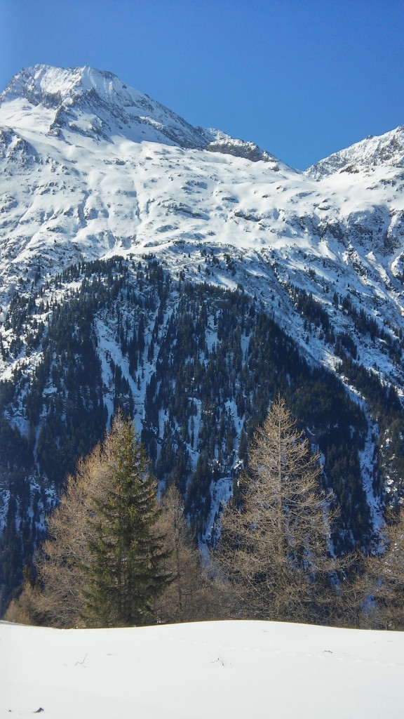 Le glacier de la Gurraz au Monal