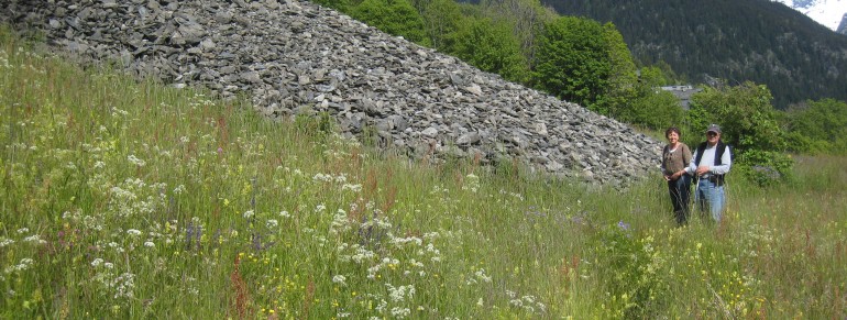 Les murgers