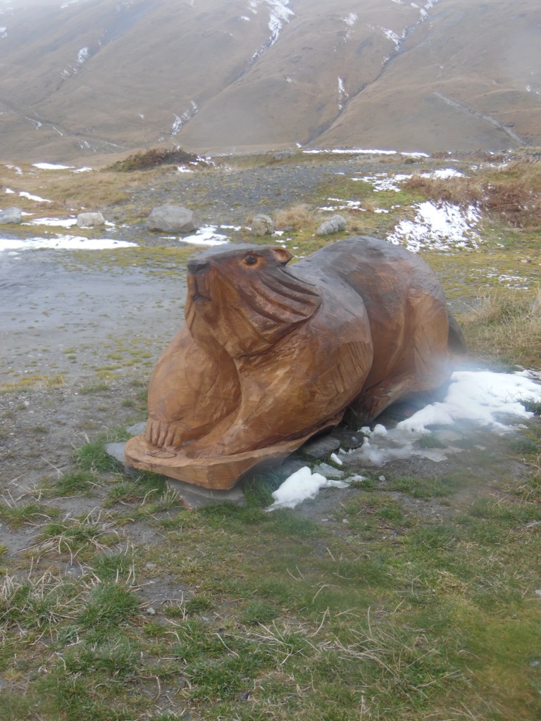 Sculpture Marmotte - La Rosiere