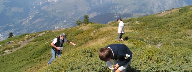 La cueillette des myrtilles 2016