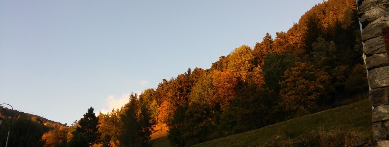 L’automne dans l’assiette grâce à nos producteurs de Tarentaise