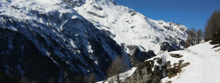 Carte postale janvier : neige fraîche et sports de glisse !