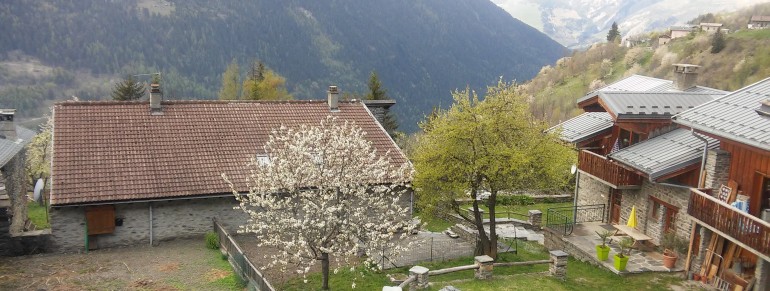 Neiges de printemps !
