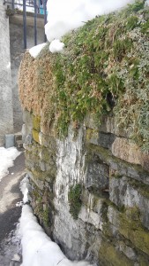 Stalactites mur Villaroger