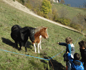 Gite-Ecombelles-Poneys-randonnee-enfants
