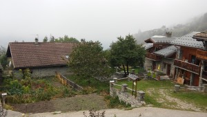 au-chalet-patates-recoltees-ecombelles