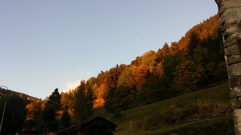 au-chalet-automne-ecombelles