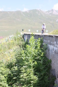 Cycliste - Lacet La Rosière