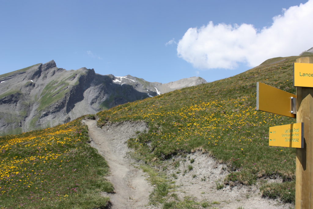 Panneaux et sentiers - Randonnée dans les Alpes