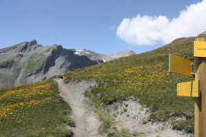 (Français) Panneaux et sentiers - Randonnée dans les Alpes