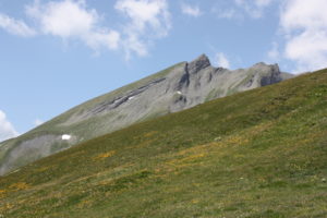 Sommets fleuris en photo - Composez avec le paysage